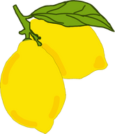 Lemon Hand Drawn Illustration